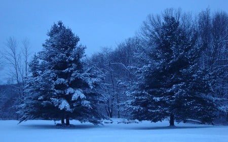 Michigan Snow - snow, michigan, winter, nature