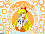 Sailor Venus