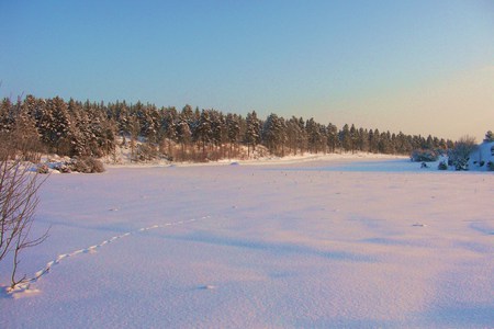 morning walk - winter, nature, snow, field, forest, sky