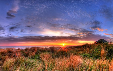 GOLDEN SKY - sky, golden, orange, sunset, sea, grass