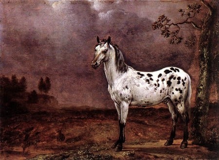 SPOTTED HORSE - white, painting, spotted, horse