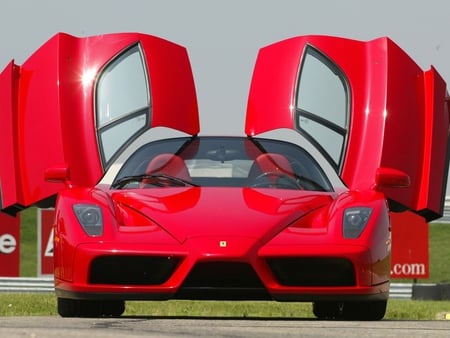 Ferrari Enzo - ferrari, enzo, ferrari enzo