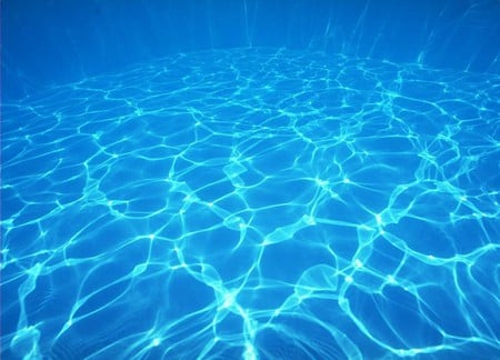 In The Pool - nature, water, pool, blue