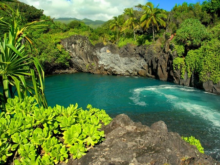 Erotic Lagoon - clouds, trees, foilage, water, lagoon, beautiful, paridse, green, jungle, rocks