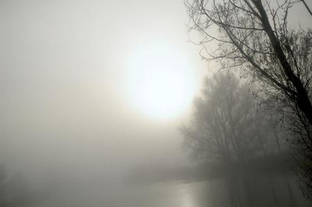 Foggy Lakeside - grey, water, fog, lakeside, mist