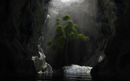 Tree amongst the rocks - pretty, light, water, tree, cg, rocks