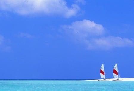 Maldives Sailboats - maldives, ocean, boats, sailboats, blue