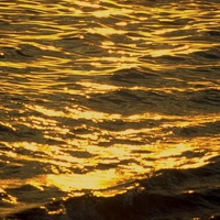 Golden Waters