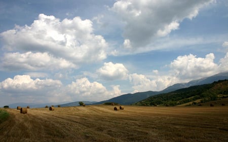 Pyrenees - sky, fields, nature