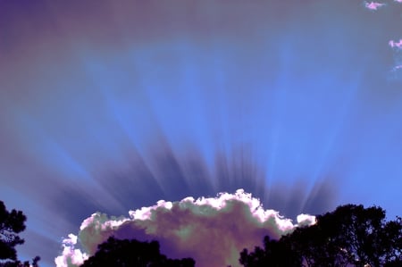 Over the Couds - clouds, trees, blue, sunshine, light, purple, rays, bright, sun, sky