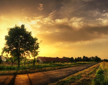 The Golden Sunset - horizon, nice, farm, sky, majesty, trees, photography, roads, sunset, path, amazing, fabulous, cool, golden, landscape, nature, the, photoshop, beautiful, gourgeous, awesome