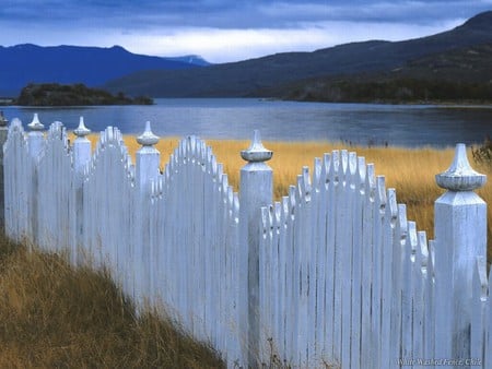 Lake with a picket fence - nature, fence, lake