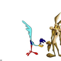 roadrunner and wylie 