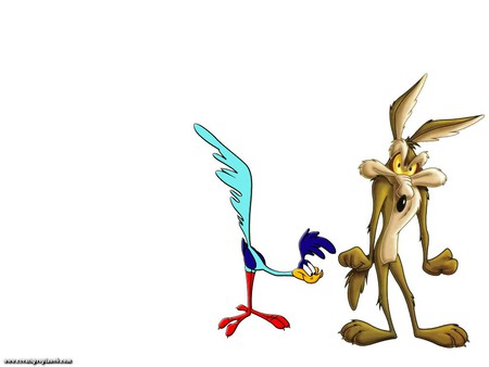 roadrunner and wylie  - roadrunner, wilie coyote, cartoon, funny