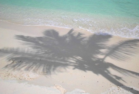 In The Shadow - water, beach, sea, ocean, nature