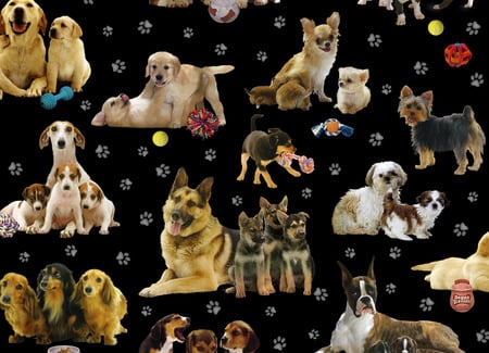 DOGS OF ALL KINDS - dogs, collage, puppies