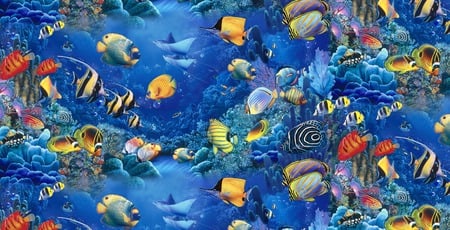 FISH OF THE SEA - colorful, sea, fish