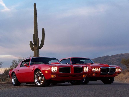 2 Red Pontiacs - red, classic, gm, firebird