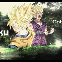 Goku and Gohan