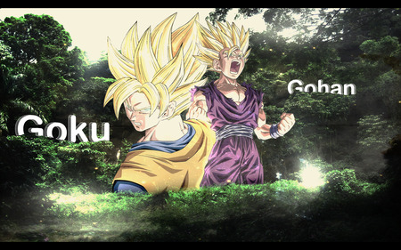 Goku and Gohan - goku, and, gohan