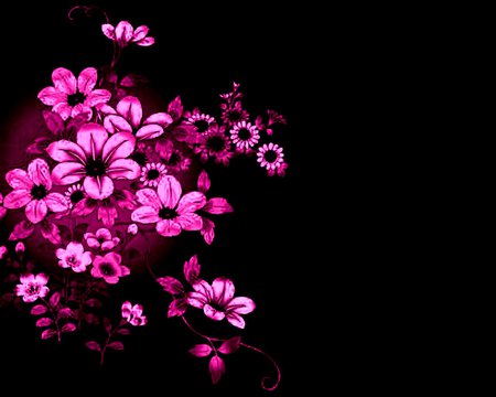 Pink Flowers - flower, pink