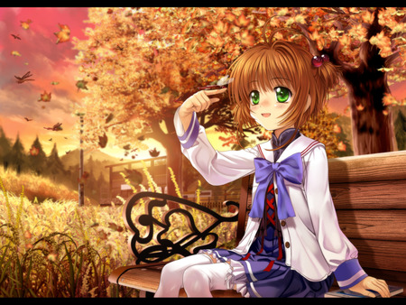 Sakura Kinomoto - anime, anime girl, female, yellow, girl, sunrise, forest, tree, sunset, cute, card captor sakura, bench