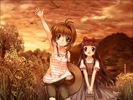 Sakura and Tomoyo - forest, cute, anime, anime girl, girl, card captor sakura, female, tree, dawn