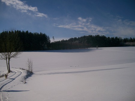 Quiet - winter, scenery, forest, snow