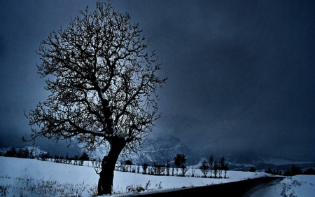 Black Friend on Life Road - life, tree, black, road, friend