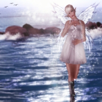 sea fairy