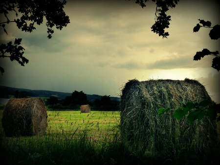 Summer Morvan - summer, morvan