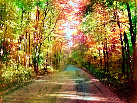 Seasons Change - trees, yellow, seasons change, blue, brown, beautiful, road, peace, trough, forests, red, green, sun