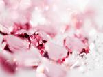 sparkling and romantic backgrounds hk046 350a 1920x1200.jpg