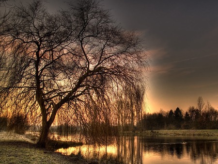 sunrise - nature, hot, sunrise, lake, tree