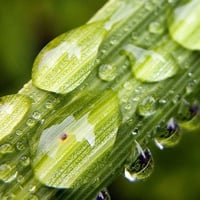 water drops