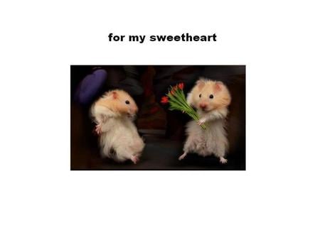 Hamster Sweethearts - love, roses, hamsters, sweet, cute