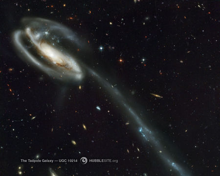 Tadpole Galaxy - starts, space, galaxy