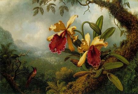 Yellow Orchids and Humming Birds - hummingbirds, tropical, yellow orchids, garden