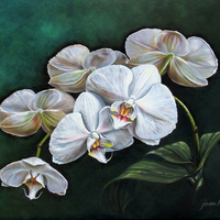 White Orchids