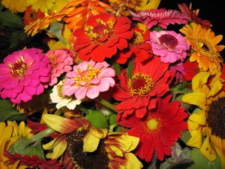 Bright Summer - flowers, bunch, display, summer