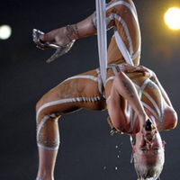 Pink's Acrobatics