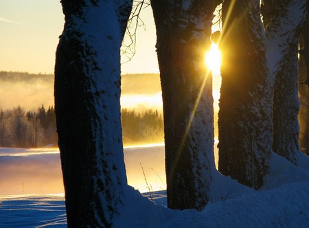 Winter Sunset - nice, sunrises, sky, trees, branch, photography, foggy, reflections, lakes, amazing, sunsets, frozen, rivers, trunks, ice, forests, landscape, winter, blue, snow, beautiful, seasons, fog, awesome