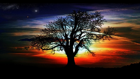 Again - colorful, ray, amazing, beauty, lovely, tree, sky