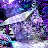 Charmed House In Purple Forest