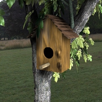 Bird house