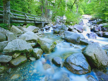 Dreamy Nature - trees, landscape, stream, water, rocks, milky, nature, mossy, forest, scenery, stones, bridge