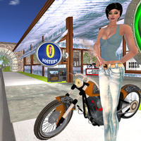 Biker Girls Rock..............