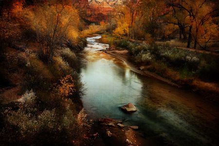 autumn silent - river, trees, nature, autumn