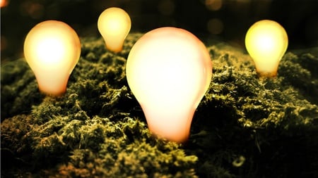 Bright Ideas - yellow, grass, efficient, hdr, nice, incandescent lights, art, lamps, lighting, abstract, beautiful, 3d and cg, bulb, fantasy, white, efficiency, brightness, lights, bright, lightness, ideas, day