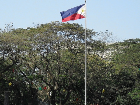 phillippines - forest, nature